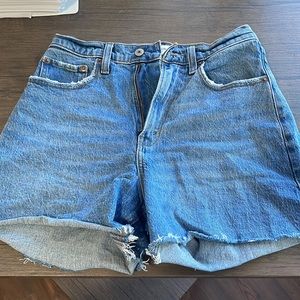 Abercrombie and fitch dad shorts